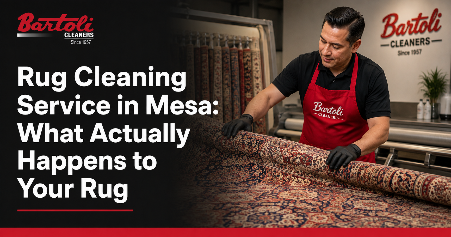 Rug Cleaning Service in Mesa: What Actually Happens to Your Rug